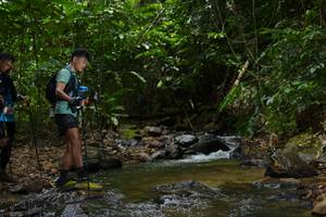 BIB: 
                            <button type="button" onclick="openModal(21845667)" class="btn btn-primary btn-sm float-right btn-popup" data-toggle="modal" data-target=".modal-high-quality">
                        <i class="fas fa-shopping-cart"></i> Add to Cart
                    </button>
                                            <button type="button" onclick="isThisMe(21845667, true)" class="btn btn-success btn-sm float-right btn-popup btn-isme hidden" data-toggle="tooltip" data-placement="bottom" title="นี่คือรูปของคุณใช่ไหม คลิกที่นี่เพื่อเอาเข้าอัลบั้ม">
                        <i class="fas fa-plus"></i> Add to album
                    </button>
                    <button type="button" onclick="isThisMe(21845667, false)" class="btn btn-warning btn-sm float-right btn-popup btn-isnotme hidden">
                        <i class="fas fa-ban"></i> Remove from album
                    </button>